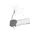 ノイヴァ